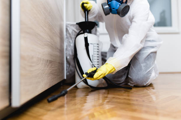 Best Wildlife Control Services  in Montebello, NY