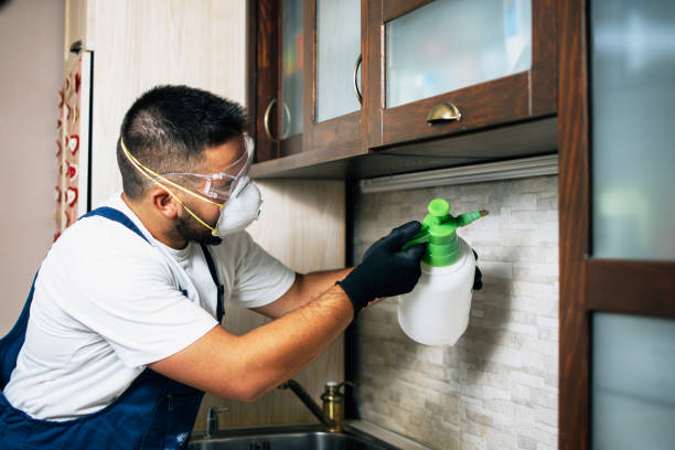 Best Termite Control Services  in Montebello, NY