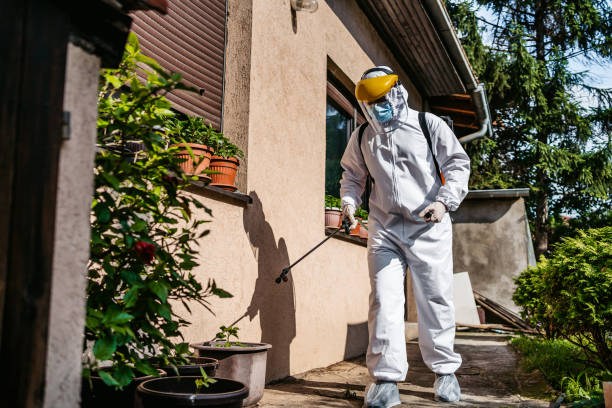 Best Pest Control Treatment  in Montebello, NY