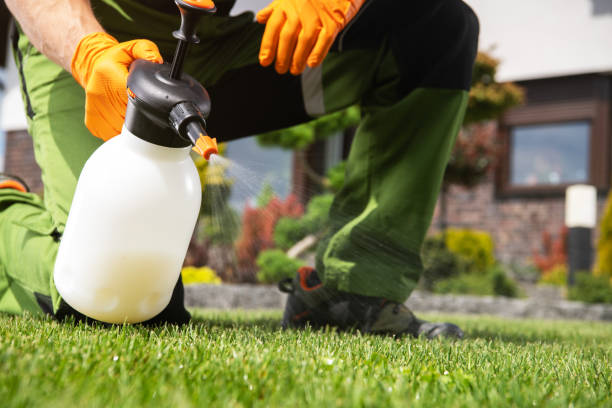 Best Bed Bug Extermination  in Montebello, NY