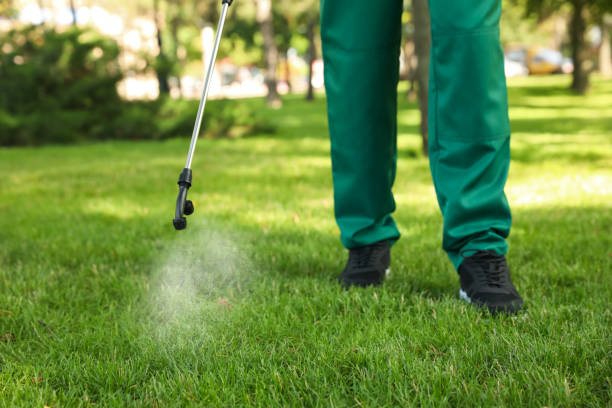 Best Local Pest Control Services  in Montebello, NY
