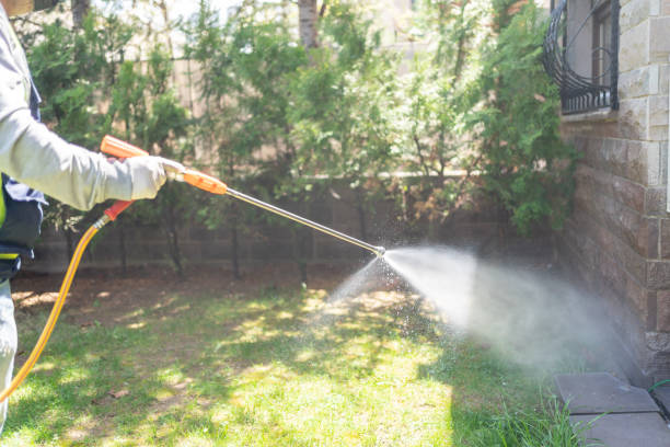 Best Pest Removal Services  in Montebello, NY