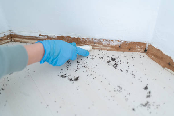 Montebello, NY Pest Control Company